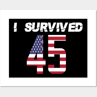 I survived 45 Posters and Art